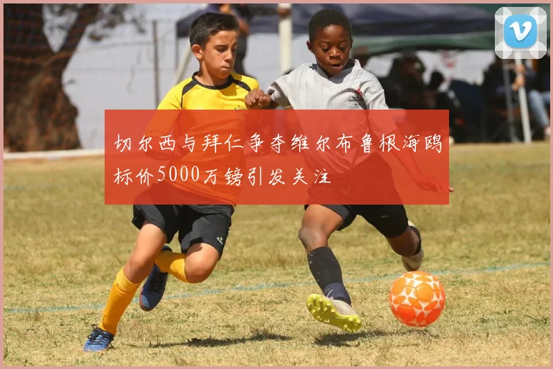 切尔西与拜仁争夺维尔布鲁根海鸥标价5000万镑引发关注