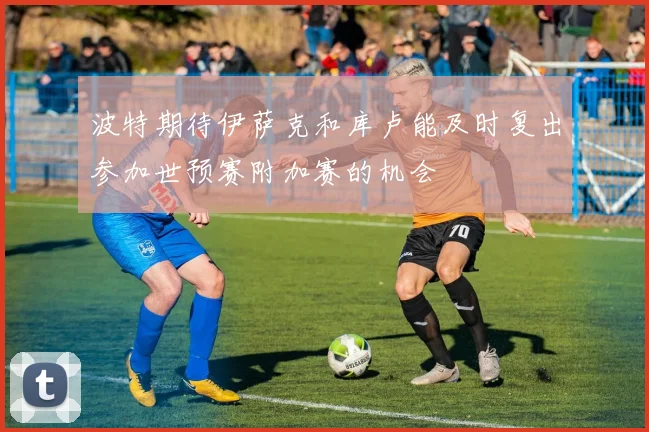 波特期待伊萨克和库卢能及时复出参加世预赛附加赛的机会