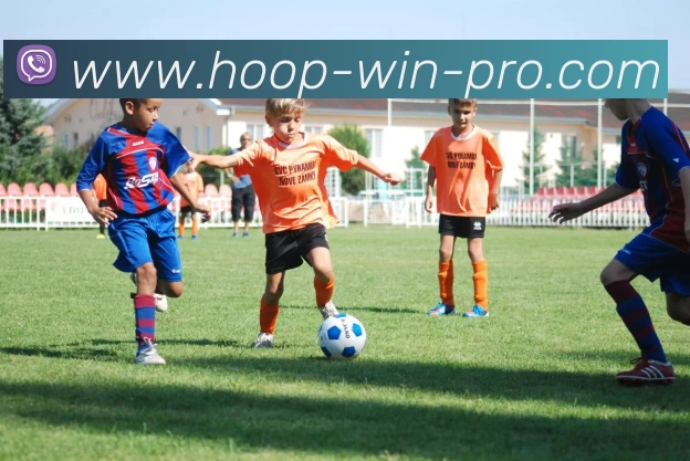 篮球投注品牌故事