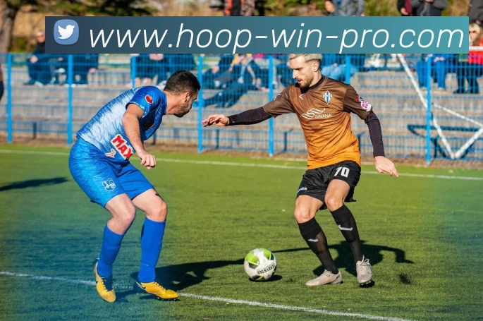 篮球投注服务体系