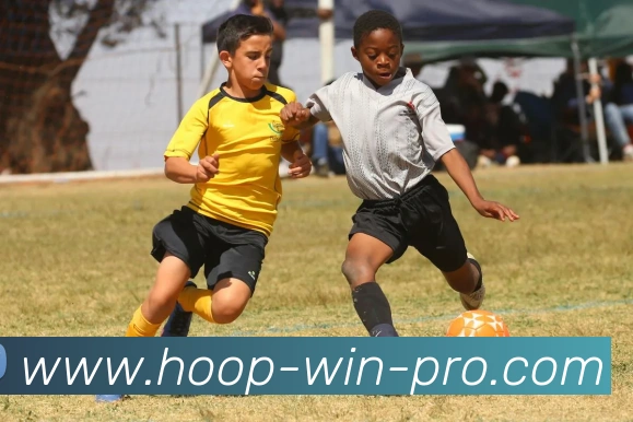 篮球投注APP 体育赛事宣传图